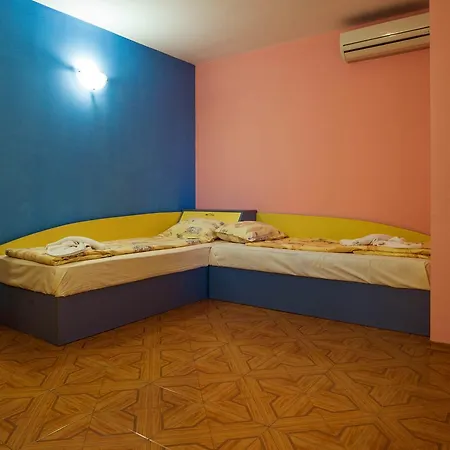 Orchidea ソゾポル