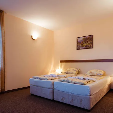 Отель Orchidea 3*