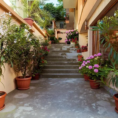 Orchidea Отель 3*