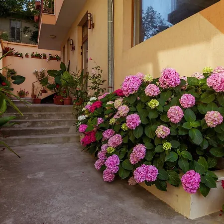 Orchidea Hotel 3*